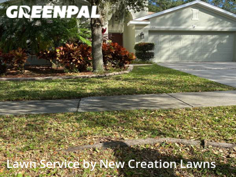 Lawn Care nearby Valrico, FL, 