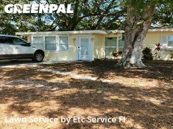 Yard Cutting nearby Palm Harbor, FL, 