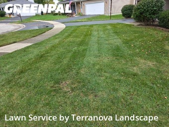 Lawn Mowing in Woodridge, 60517, Property Maintenance by Terranova Landscape, work completed in Nov , 2025