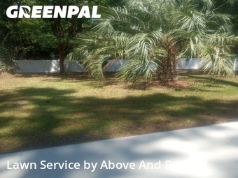 Lawn Maintenance nearby Myrtle Beach, GA, 