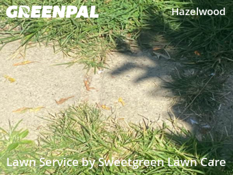 Yard Cutting nearby Pittsburgh, PA, 