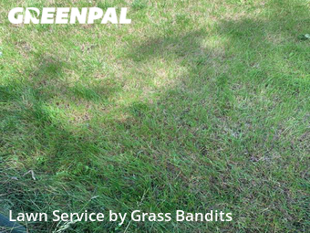 Yard Mowing nearby Billings, MT, 