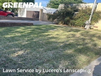 Affordable Landscaping Maintenance Services In Albuquerque,87110,Landscaping Cleanup by Lucero’s Lanscaping, work completed in Jun , 2026