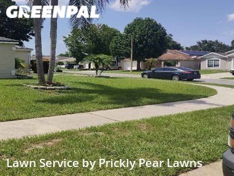 Grass Cut nearby Apopka, FL, 