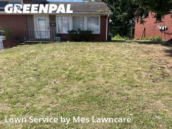 Grass Cut nearby Wilkinsburg, PA, 