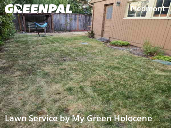 Commercial Landscaping In Portland,97211,Landscape Design by My Green Holocene, work completed in Nov , 2025