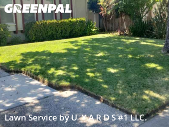 Work completed by cheap-lawn-cutting-businesses-in-Modesto-CA