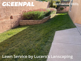 Yard Cutting nearby Albuquerque, NM, 