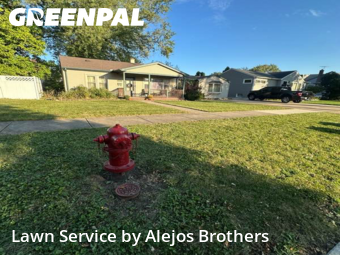 Yard Cutting in Oak Lawn, 60453, Weed Trimming by Alejos Brothers, work completed in Dec , 2025