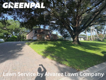 Lawn Mowin Altamonte Springs,32701,Lawn Maintenance by Alvarez Lawn Company, work completed in Nov , 2025