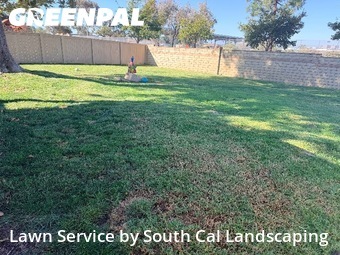 Yard Cutting nearby San Diego, CA, 