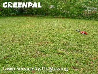 Grass Cut nearby Decatur, IL, 
