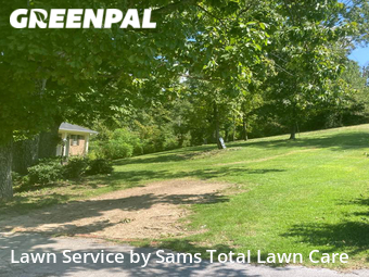 Grass Cut nearby Chattanooga, TN, 