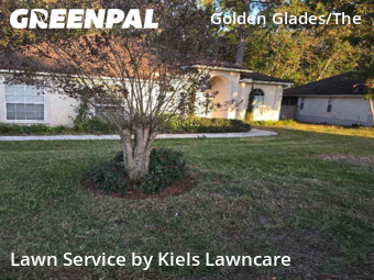 Grass Cut nearby Jacksonville, FL, 