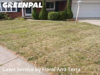 Grass Cut nearby St. Clair Shores, MI, 