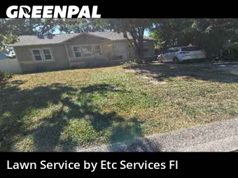 Landscaping Cleanup In St. Petersburg,33713,Landscaping by Etc Services Fl, work completed in Nov , 2025