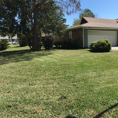 Lawn Care Service in Jacksonville, FL, 32244