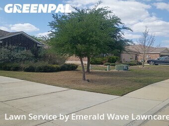 Yard Cutting nearby New Braunfels, TX, 