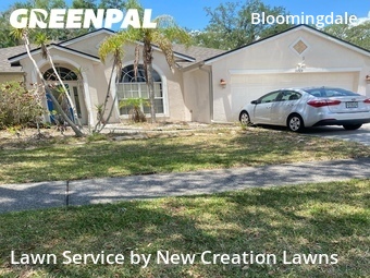 Lawn Mow nearby Valrico, FL, 