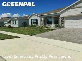 Yard Cutting nearby Ocoee, FL, 