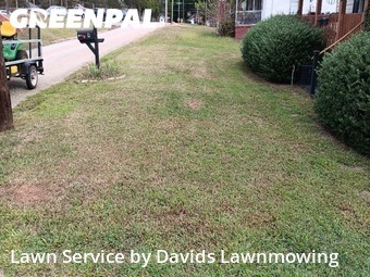 Lawn Upkeep in Greenville, 29611, Mowing Services by Davids Lawnmowing , work completed in Nov , 2025