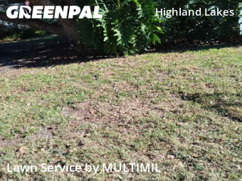 Yard Cutting nearby Clearwater, FL, 