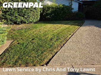 Work completed by lawn-care-experts-near-me-in-Lodi-CA