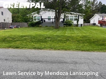 Grass Cut nearby Silver Spring, MD, 