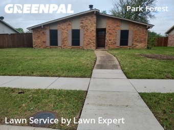 Grass Cut nearby Plano, TX, 