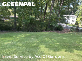 Yard Upkeep in Chamblee, 30341, Weed Trimming by Ace Of Gardens, work completed in Nov , 2025