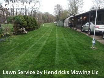Lawn Cut nearby Amherst, OH, 