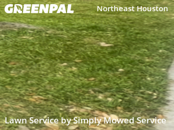 Mowing Services in Galena Park, 77547, Weed Trimming by Simply Mowed Service, work completed in Nov , 2025