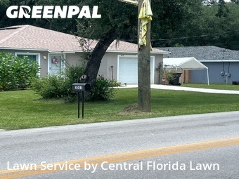 Lawn Cutting nearby Winter Haven, FL, 