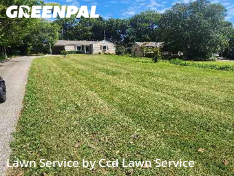 Lawn Mow nearby Knoxville, NC, 