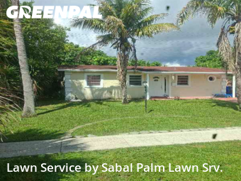 Grass Care in North Lauderdale, 33068, Yard Work by Sabal Palm Lawn Srv., work completed in Nov , 2025