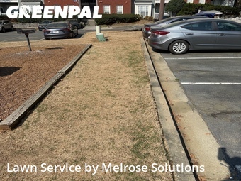 Yard Cutting nearby Atlanta, GA, 