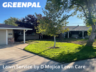 Yard Cutting nearby Citrus Heights, CA, 