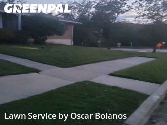 Grass Cutting nearby Endicott, NY, 