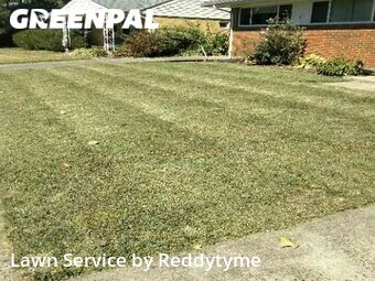 Lawn Cutting nearby Saint Regis Park, KY, 