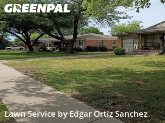 Lawn Mow nearby Richardson, TX, 