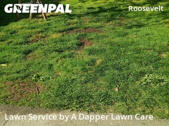 Lawn Cutting nearby Bellingham, WA, 