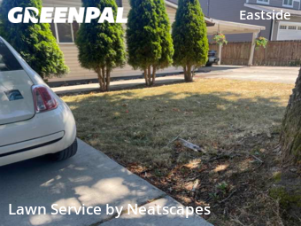 Lawn Service nearby Tacoma, WA, 