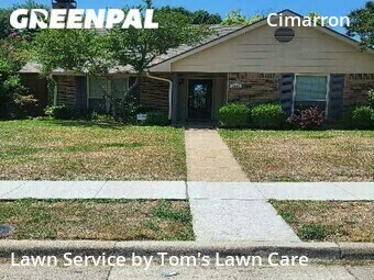 Yard Cutting nearby Plano, TX, 