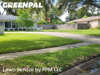 Grass Cutting nearby Clearwater, FL, 