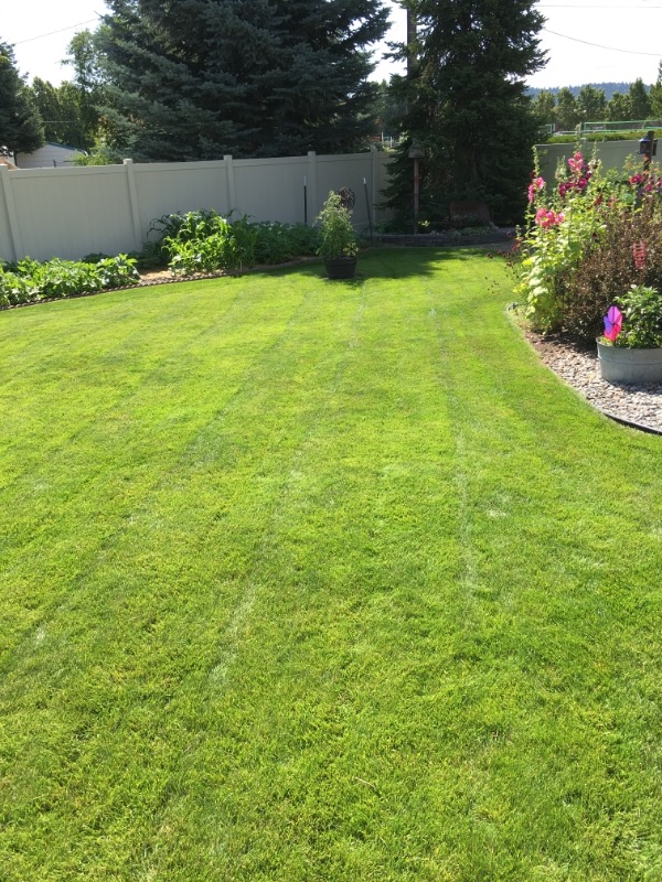 cheap-lawn-cutting-businesses-in-Pasco-WA