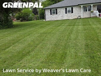 Lawn Mowing nearby New Palestine, IN, 