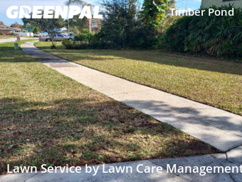 Yard Mowing nearby Brandon, FL, 