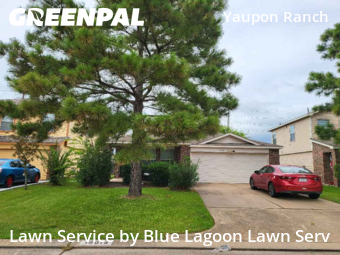 Lawn Cuttingin Cypress,77433,Lawn Cutting by Blue Lagoon Lawn Serv, work completed in Nov , 2025