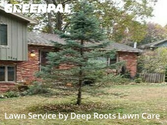 Grass Cutting nearby Springfield, MO, 