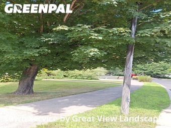 Lawn Care Service nearby Middletown, CT, 